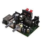 Baoblaze 12V 電源　TDA2005　デュアル　チャンネル　デジタル　アンプ　ボード　マイク　スタンド