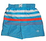 OpベビーBoy Printed Swim Trunksブルーストライプ24か月