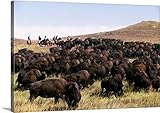 Guido Cozziプレミアムシックラップキャンバス壁アート印刷題名South Dakota、ブラックHills ,カスター状態公園、Buffalo Roundup 36" x 24" 204075