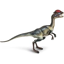 Safari  Wild Safari Dinosaurs ( ワイルド サファリ ダイナソーズ ) リオプレウロドン 300529 Amazon.com: Safari Ltd. Prehistoric World Liopleurodon