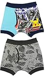 キッズ ボクサーパンツ ポケモン 2枚組 ボクサーブリーフ 100cm 110cm 120cm 130cm inn09(100)
