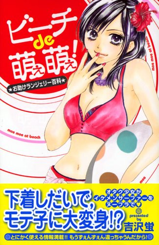 『ビーチde萌え萌え!―お助けランジェリー百科』1巻
