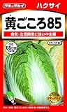 タキイ種苗 はくさい 黄ごころ85