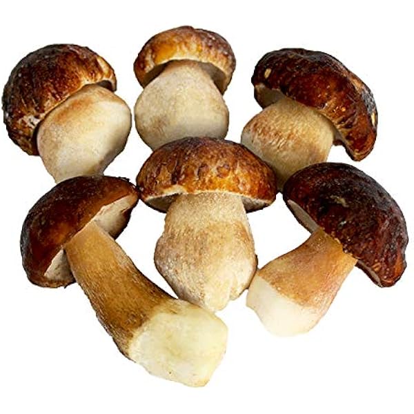 天然ポルチーニ茸 1kg imgrc0066170330.jpg