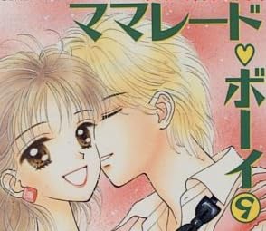小説『コバルト文庫版 ママレード・ボーイ』で使われている【イナミン】