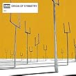Origin of Symmetry [12 inch Analog]