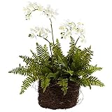 Nearly Natural 4834 Phalaenopsis Orchid and Fern with Birdsnest Planter, Mini [並行輸入品]