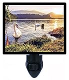 Night Light – Early Morning Swim – Swans LED Night Light