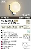 コイズミ照明　アウトドアライト【AU42346L】