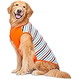 KUVEELA PET 犬服 犬 犬の服 服 夏 春 夏服 ドッグウェア Tシャツ お出掛け お散歩 日焼き防ぐ 脱毛保護 通気性 おしゃれ 大型犬 中型犬（オレンジ XL）