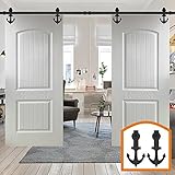 HomeDeco Hardware 引き戸 diy ドア オーダー 引戸レール 最新家具 玄関扉 キャビネット パーツ 6 FT (1.83メートル) ダブルドア