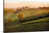 GREAT BIGキャンバスギャラリー‐ Sunセットthrough mist over vineyard in Tuscany。 60" x 40" 1131236_1_60x40_none