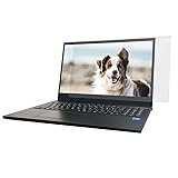 WALLCOM ブルーライトカット 液晶画面保護パネル 17.3インチ 17.3型 対応 ノートパソコン WSZ-173