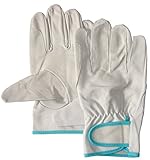 ウイングエース　豚革クレスト　レインジャー　アテ付　No.220　白　10双　Mサイズ