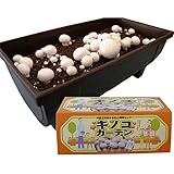 キノコガーデン（ホワイトマッシュルーム栽培キット）