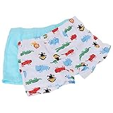 Lovoski 2枚入り　キッズ　下着　ボクサー　ブリーフ　パンティ　パンツ　ショーツ　快適　全3サイズ2パタン - ライオン, 5-6T