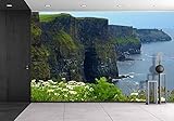 wall26 粘着式壁紙 大型の壁 壁画シリーズ 100"x144" WMR-WP-X-C409-100x24x6