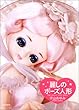 麗しのポーズ人形