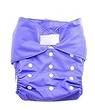 【SUNNY BABY】 BIGサイズおむつカバー インサーツ2枚セット テープ式 サイズ調節可 レーニング おむつ (パープル) [並行輸入品]