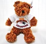 新しいEngland Patriots LimitedエディションSpecial Fabric Super Bowl白Jersey Teddy Bear