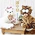 テゴマス「猫中毒(初回限定盤B)」