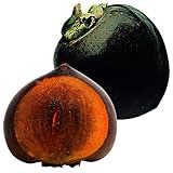 国華園　果樹苗　カキ　黒柿　1株