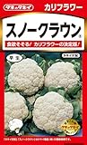 タキイ種苗 カリフラワー スノークラウン