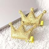 ボコダダ（Vocodada）ヘアピン アクセサリー ２枚入り 子供 髪飾り 髪留め 可愛い ヘアクリップ 子供も通用 キッズ ヘアバンド ヘアピン 子供髪飾り お祝いギフト お洒落 ァッション誕生日の