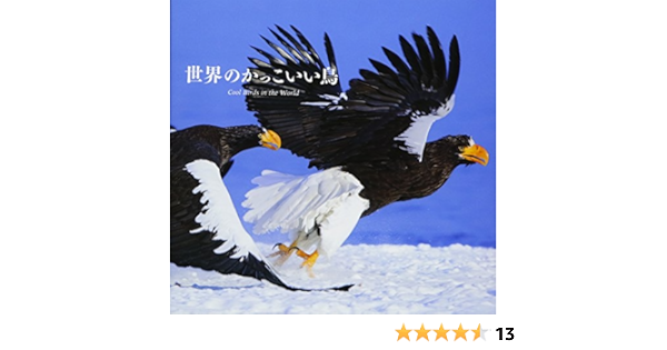 Amazon Co Jp 世界のかっこいい鳥 上田 恵介 笠原 里恵 Japanese Books