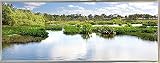 Everglade Waters by Harold Silverman – 風景 10.03"x27.03" 74747-36-17FUSA