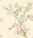 York Wallcoverings av2857新しいNeutrals Wild花壁紙、Greens