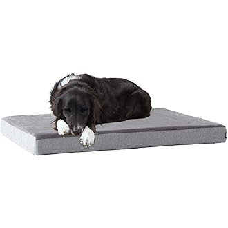memory foam dog bed sale