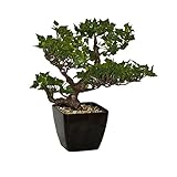 ALEKO Faux Replica Tree Artificial Plant Bonsai for Home Office Patio Outdoor Decor [並行輸入品]