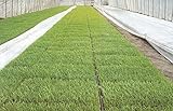 ユニチカ ラブシート #20307 白 厚さ0.13mm×幅210cm×長さ５０ｍ