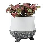 T4U 9CM 陶器ミ二植木鉢 韓国風の雪花シリーズNO.6 多肉植物 サボテン鉢 フラワーポット プランター容器