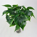 Kicode Scindapsus人工Scindapsusの葉 花束緑の植物 グラスホームフラワーガーデン