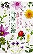 色で見わけ五感で楽しむ野草図鑑