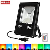 T-SUN LED投光器 RGB16色 30W リモコン操作 IP65防雨型 PSE認証済 イルミネーション 屋外 看板灯 作業灯 舞台照明 家庭用 集魚灯 (30W)