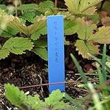 ゴールドカラーラベル青色1.2cm×9cm 100枚入り 3袋(300枚) ノーブランド品