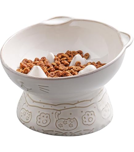 Qcapet Ceramic Cat Slow Feeder Bowl - Elevated Tilted Design To Prevent Fast Eating & Vomiting, White