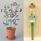 ニチカン　フラワー支柱（中）　60cm