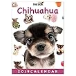 カレンダー 2019 卓上 THE DOG 犬 チワワ 403283 2019年1月―2019年12月 両面カラー アーリスト イヌ いぬ Chihuahua