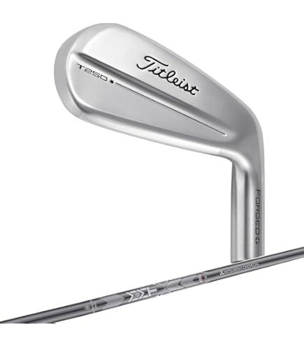 Amazon.co.jp: タイトリストアイアン 25 T350 4G RH NS880AMC S 6-W48