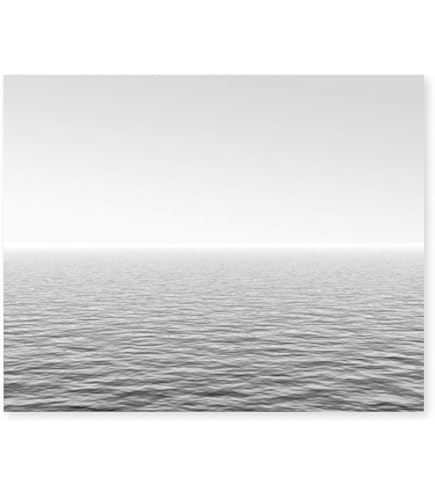 Amazon.co.jp: 杉本博司 ポスター「POLAR BEAR」(ポーラー ベア