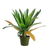22" Decorative Potted Artificial Green and Brown Bird Nest Fern Plant