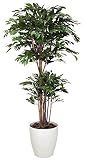 tree-c/観葉植物 造花 光触媒 トロピカル・ベンジャミン 180cm