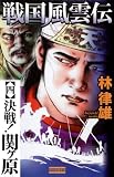 戦国風雲伝4 (歴史群像新書)