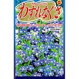 わすれな草 (789)