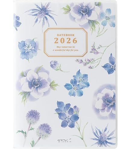 Amazon.co.jp: sapix 6年 デイリーサピックス : 文房具・オフィス用品