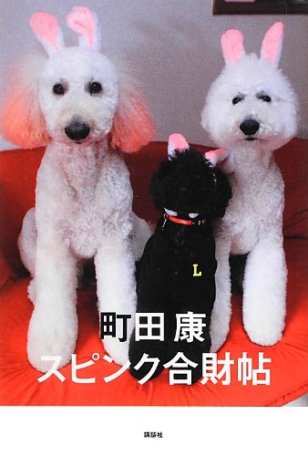 書評 スピンク合財帖 町田康 横丁カフェ Web本の雑誌